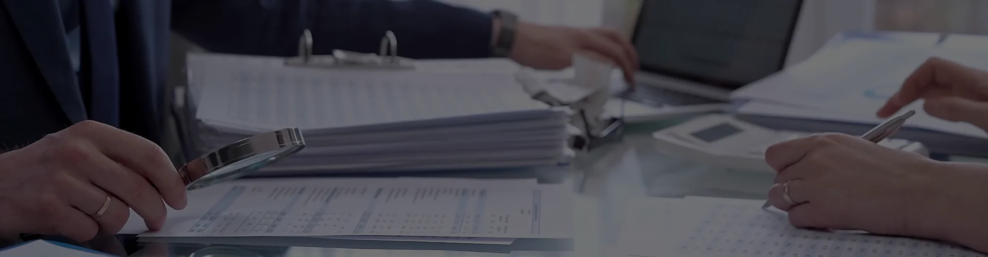 Audit Support Services for Global Enterprises