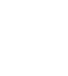 Tax Audit Support